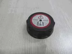 Szybka dostawa FORD KOREK ZBIORNICZKA WYROWNAWCZEGO 95BB-8100-AA