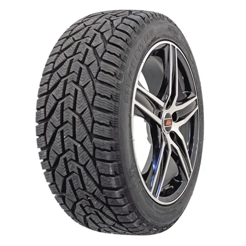 TaurusWinter205/55 R 16 91 H Taniej